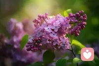 行为心理学中，有一个词叫“习惯性反驳”。这种心理的人，不管你跟他说什么，他张口就否定你，跟你唱反调。 你说东，他讲西，你谈价值观，他聊方法论。你越是试图跟他讲道理、谈逻辑，便越是感到心力交瘁。其实，这不是谁对谁错的问题，而是认知的差异。配图