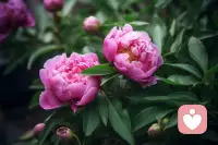 行为心理学中，有一个词叫“习惯性反驳”。这种心理的人，不管你跟他说什么，他张口就否定你，跟你唱反调。 你说东，他讲西，你谈价值观，他聊方法论。你越是试图跟他讲道理、谈逻辑，便越是感到心力交瘁。其实，这不是谁对谁错的问题，而是认知的差异。配图