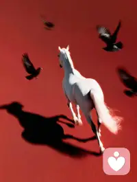 别让世俗淹没生活的浪漫和热情。配图