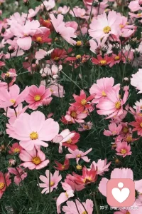 除了生病以外，你感受到的痛苦，都是你的价值观带来的，而非真实存在。不必站在50岁的年纪，悔恨30岁的生活，我们不能站在后来的高度，去批判当年的自己，这不公平。