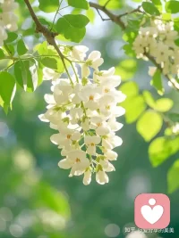 除了生病以外，你感受到的痛苦，都是你的价值观带来的，而非真实存在。不必站在50岁的年纪，悔恨30岁的生活，我们不能站在后来的高度，去批判当年的自己，这不公平。