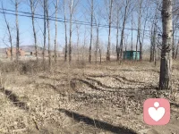 在烟熏火燎的生活中，我们经历着生活磨难，最终才明白，所有的苦楚，只能靠自己来治愈。配图