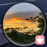 生活需要拥有一份恬淡平和的心情，一颗自由的心，一份简单细致的人生态度。配图