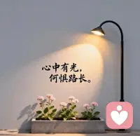 生活需要拥有一份恬淡平和的心情，一颗自由的心，一份简单细致的人生态度。配图