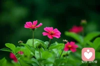 生活从来不是选择，而是热爱，你只管发光，命运自有安排。想一千次，不如去做一次，华丽的跌倒，胜过无谓的徘徊。岁月无情，余生有涯，今日份努力，启动！配图