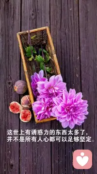 说的有道理配图