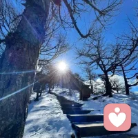 要知道，每一颗钻石在被发现前，都要经受埋藏尘埃的寂寞时光。一一毕淑敏配图