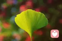 日日行不怕千万里，时时做不惧千万事。如果现在的你正寻求改变，那就先从一日的坚持开始，而后一周、一月、数月……让坚持逐渐累积，你慢慢也会体验到：这件事并不需要坚持，它已经成为了你的一种习惯。配图