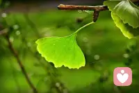 困住一个人的，从来不是年龄和身份，而是格局和观念。