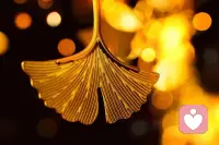 困住一个人的，从来不是年龄和身份，而是格局和观念。