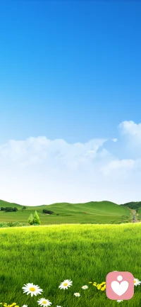 蓝天，白云，草地，鲜花，微风吹拂！放松心灵