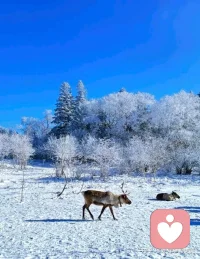 每个人一天的时间，都是二十四小时。你如何利用自己的时间，决定了你能走多远、飞多高。