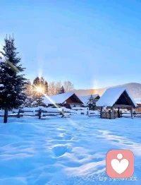 偷偷努力的感觉很好，不张扬也不埋怨。自己一点点去改变，等你告别了以前的自己时，你就可以很自豪地跟自己说：哇，你也太棒了，终于熬过来了。配图