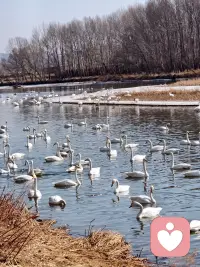 生态环境越来越好配图