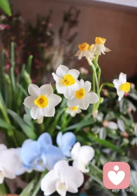 真正的智慧，是把正确的事重复做。从生疏到精湛，中间隔着一万次枯燥的重复。所谓奇迹，不过是重复积累的必然。配图