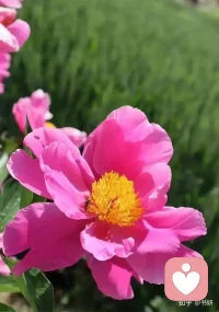 功让能量来得快
德让能量守得久
既要攻，也要守
才会源源不断有配图