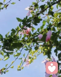 功让能量来得快
德让能量守得久
既要攻，也要守
才会源源不断有配图