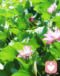 所有别人对我们的伤害，实际上都是我们“帮助”他实现的。别人吐痰是一瞬间的事，但你捡起来反复吃，才是真正伤自己的那一步。配图