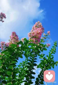 所有别人对我们的伤害，实际上都是我们“帮助”他实现的。别人吐痰是一瞬间的事，但你捡起来反复吃，才是真正伤自己的那一步。配图