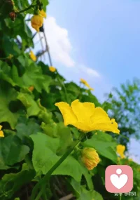 所有别人对我们的伤害，实际上都是我们“帮助”他实现的。别人吐痰是一瞬间的事，但你捡起来反复吃，才是真正伤自己的那一步。配图