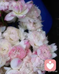 1.你想骂他，你忍住了，这就是本事。
2.你不愿意做这个事情，但你把它做好了，这就是能力。
3.你咽不下这口气，但你把它硬是咽下去了，这是胸怀。
4.你看他不顺眼，但你还能平等的对待他，这就是修为。配图