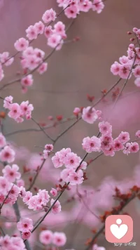 生活不会辜负认真的人，时光终会犒劳坚持的心，每一天都是新的开始，每一刻都藏无限可能。新的一天，愿你眼里有光，脚下有路，书写属于自己的精彩篇章!配图