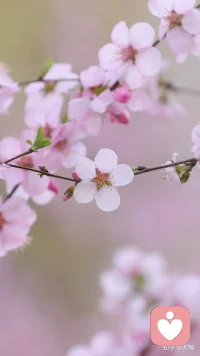 生活不会辜负认真的人，时光终会犒劳坚持的心，每一天都是新的开始，每一刻都藏无限可能。新的一天，愿你眼里有光，脚下有路，书写属于自己的精彩篇章!配图