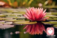 能让你彻彻底底脱变自己的，一定是曾经你那戳人心扉的过往，以及你并不喜欢的颓废和安逸。配图