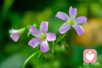 能让你彻彻底底脱变自己的，一定是曾经你那戳人心扉的过往，以及你并不喜欢的颓废和安逸。配图