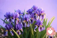 生活中的挫折只是暂时的，坚持自己的信念，勇往直前，你会发现，幸福正在向你招手。一切的付出都将在未来得到回报。配图