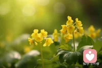 生活中的挫折只是暂时的，坚持自己的信念，勇往直前，你会发现，幸福正在向你招手。一切的付出都将在未来得到回报。配图