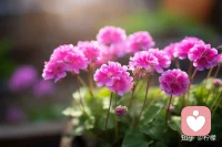 1. 颜施：微笑、和颜悦色待人
2. 言施：说鼓励、赞美、安慰、柔和的话
3. 眼施：用慈爱、欣赏的目光看人
4. 身施：让座、扶人、开门、主动帮忙
5. 心施：真诚包容、不怀恶意、心生善念
6. 座施：让座位、铺座请人安坐
7. 房舍施：借空间、提供临时住所/公益场地配图