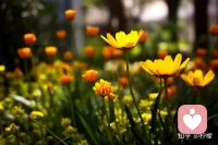 凡是大病，必与情绪有关，长期情绪不佳，一定会催生大病。
纠结别人的恶，折磨自己的心；放下别人的错，解脱自己的心。
你伤悲，忧的是自己的情绪；
你急躁，扰的是自己的清静。配图