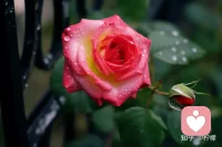 很多年轻人都是觉得自己啥都懂，不经过社会的摩擦、历练和折磨，是很难去认清社会，当然也很难去认清自己的。配图