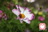 当一个人变得越来越好的时候，所有的贵人都会出现在生命中。相信就有奇迹，先努力改变自己。配图