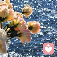 追风赶月莫停留，平芜尽处是春山，前行，终会看到最美的风景。配图