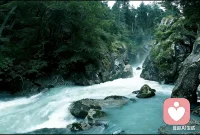 你生来本应为高山并非草芥，相信自己，才能创造属于自己的辉煌。配图