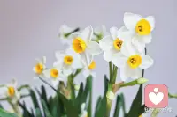 谁又能平白无故地成功，每一步都艰辛苦涩，所以不必比较和羡慕，走好脚下的路，专注在自己身上，耐心地经营，那些小惊喜迟早会变成一扇窗，让你眺望更美好的远方。配图