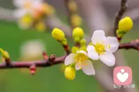 如果无法改变风的方向，要想办法调整风帆，如果不能改变事情的结果，要能调整自己的心态，我们的人生自己做主！配图