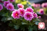 如果无法改变风的方向，要想办法调整风帆，如果不能改变事情的结果，要能调整自己的心态，我们的人生自己做主！配图