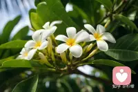 选错婚姻并不可怕，但选错活法才更要命！配图