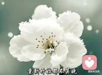 知人者智，自知者明；胜人者有力，自胜者强。
真正爱自己的人，不需要在外界寻找答案，而是在内心修得从容与安宁。配图