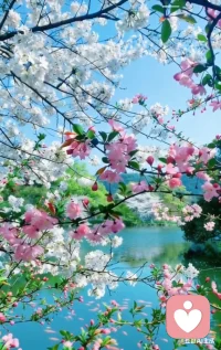 每一段成长都如同竹节，他人看到的是直插云霄，但你自己知道，一切都来之不易。有多少泪痕，就有多少故事。有多少裂痕，就有多少坚持！配图