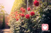 其实，拉开人与人之间差距的，往往是日复一日的积累。持续学习、不断精进，才能让我们保持深度思考的能力，获得真正的成长；练好自己的本领、拥有独一无二的竞争力，更多的机会才会接踵而至。配图