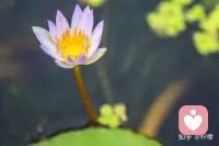 其实，拉开人与人之间差距的，往往是日复一日的积累。持续学习、不断精进，才能让我们保持深度思考的能力，获得真正的成长；练好自己的本领、拥有独一无二的竞争力，更多的机会才会接踵而至。配图