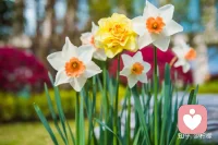 自我觉察—怎么了？
自我澄清—要什么？
自我赋能—有什么？
自我提升—做什么？