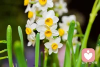 自我觉察—怎么了？
自我澄清—要什么？
自我赋能—有什么？
自我提升—做什么？