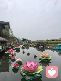 拉开人与人之间差距的关键，很多时候就在执行力上。有些人想到了，但是不去做；有些人去做了，但是坚持不下来；有些人想到了，去做了，也坚持下来了，成功自然会到来。