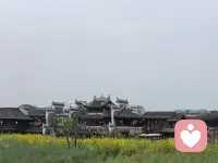 春暖花开配图