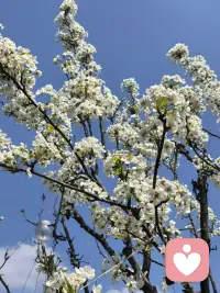 心在哪，时间在哪，行动在哪，收获就在哪！人生最清晰的脚印，往往印在最泥泞的路上。配图